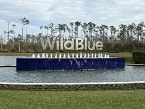c-wildblue Home Watch Services for the WildBlue Community